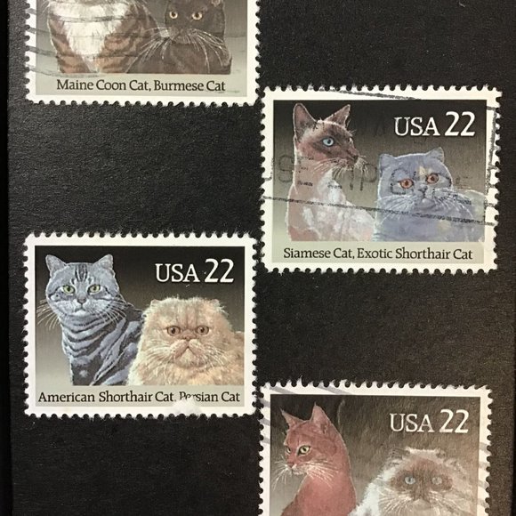 Cats - Recycled Postage Stamp Framed Art 3.5"x5", kitten, Siamese, Shorthair, ma - Picture 2 of 4